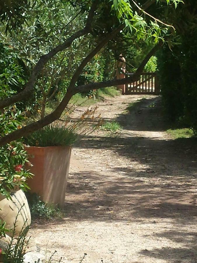 Les Anes De Petit Jean Hotel Pierrefeu-du-Var Eksteriør billede