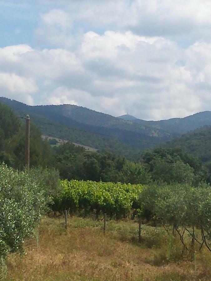Les Anes De Petit Jean Hotel Pierrefeu-du-Var Eksteriør billede